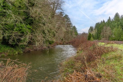 /international/us/upper-cow-creek-road-azalea-or-110106035843/