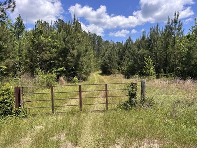 /international/us/0-county-road-1101-county-road-1101-shady-grove-al-110107800059/