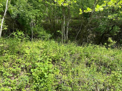 /international/us/19787-e-lynn-road-east-lynn-wv-110107800296/