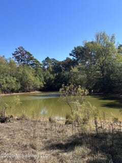 /international/us/sharon-road-canton-ms-110120685394/