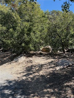 /international/us/0-grasshorn-terrace-lake-arrowhead-ca-110106588044/