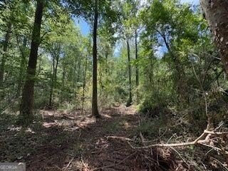 /international/us/smith-road-lot-17-thomaston-ga-110119656753/