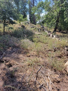 /international/us/29241-surrey-way-tehachapi-ca-110107870726/
