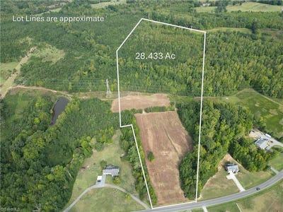 /international/us/sandy-cross-road-reidsville-nc-110119986324/