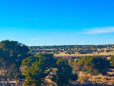 /international/us/9747-willis-hill-trl-40-acres-snowflake-az-110120452892/