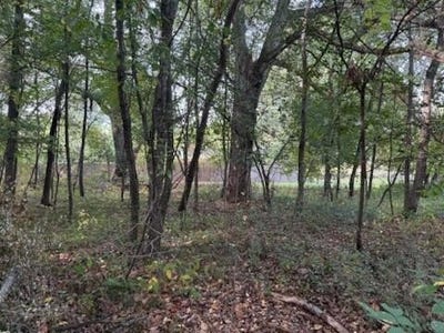 /international/us/129-midway-street-belding-mi-110102417551/