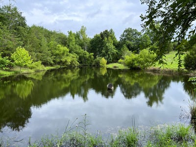 /international/us/790-lonesome-pine-road-bybee-tn-110078723610/