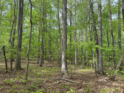 /international/us/lt-17-19-lakefront-drive-clarksville-va-110107382616/