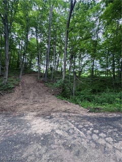 /international/us/walker-hill-road-stockport-oh-110108147466/
