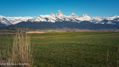 /international/us/2255-moose-path-way-tetonia-id-110108140108/