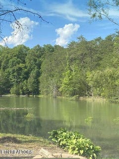/international/us/lot-8-pleasure-rd-sevierville-tn-110101234173/