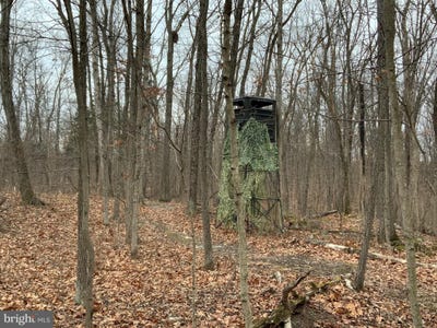 /international/us/nestle-quarry-road-lot-33-falling-waters-wv-110103398144/