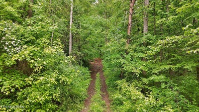/international/us/201-birch-hollow-rd-maynardville-tn-110099261379/?lang=pt
