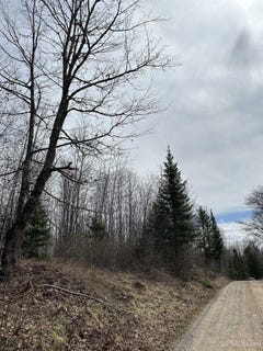 /international/us/net-river-road-crystal-falls-mi-110107819940/