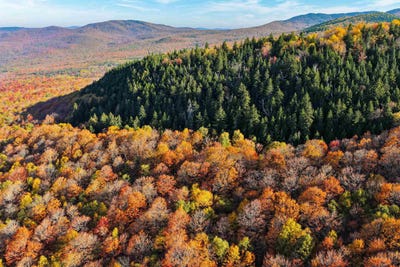 /international/us/2448-lost-nation-road-east-haven-vt-110101057535/