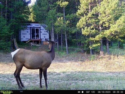 /international/us/ottawa-gulch-road-marysville-mt-110099870658/?lang=zh-tw