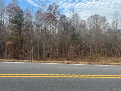 /international/us/patrick-henry-hwy-phenix-va-110108020895/