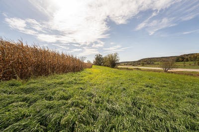 /international/us/34-06-acres-highway-131-wilton-wi-110110421929/