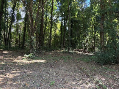 /international/us/n-kerrville-rosemark-rd-millington-tn-110120485066/
