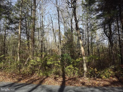 /international/us/0-yorketown-road-alloway-nj-110060988744/