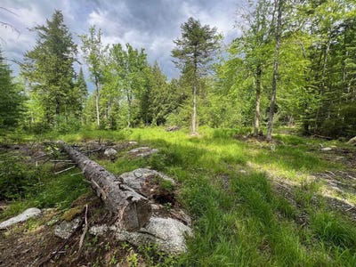 /international/us/tbd-marks-mountain-way-dedham-me-110100848975/