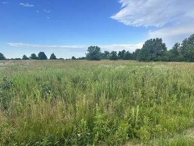/international/us/17xxx-s-1244-road-nevada-mo-110108823997/