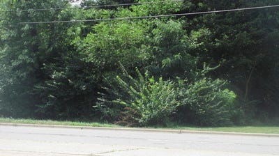 /international/us/main-street-lisle-il-110082049975/