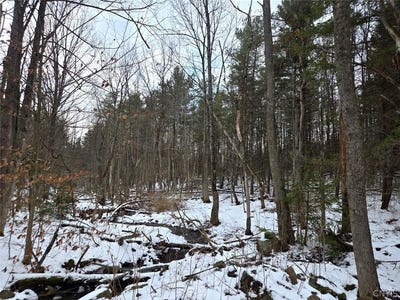 /international/us/syler-road-warsaw-ny-110106697900/