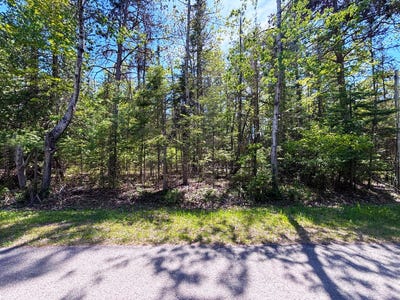 /international/us/l-275-276-lakehurst-drive-lot-275-276-presque-isle-mi-110105856294/