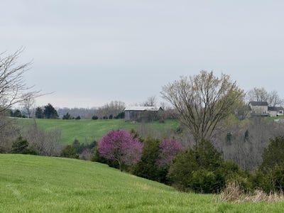 /international/us/455-mason-sipple-road-williamstown-ky-110100797328/?lang=zh-tw
