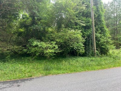 /international/us/1-acre-mansion-avenue-claremont-va-110107895640/