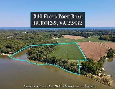 /international/us/340-flood-point-road-burgess-va-110095084628/