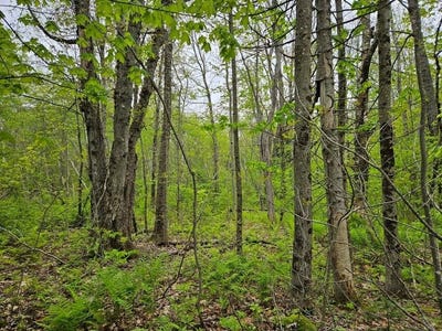 /international/us/681-mile-hill-road-new-sharon-me-110105236457/