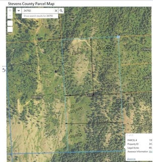 /international/us/tbd-gold-hill-lot-b-rd-kettle-falls-wa-110103320551/