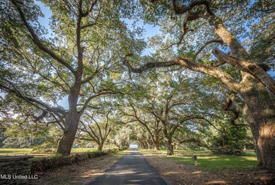 /international/us/pointe-aux-chenes-lot-7-ocean-springs-ms-110120420172/