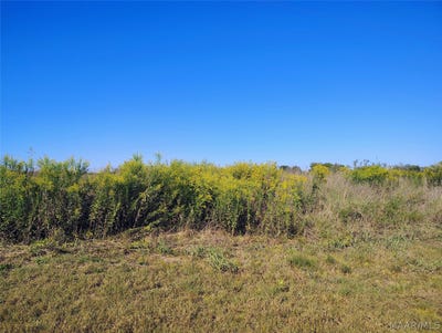/international/us/237-greenleaf-road-lowndesboro-al-110120129042/