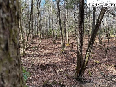 /international/us/holly-run-lot-23-glade-valley-nc-110107805581/