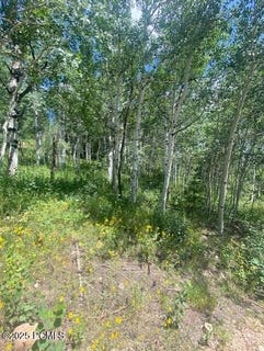 /international/us/1968-elk-road-coalville-ut-110101307503/?lang=zh-tw