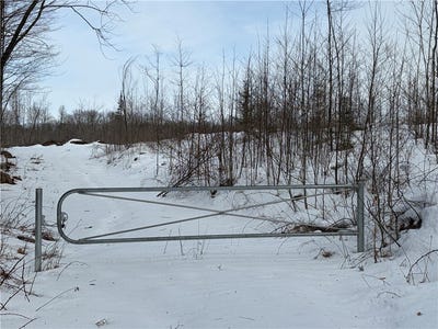 /international/us/on-forest-drive-e-ogema-wi-110106178089/