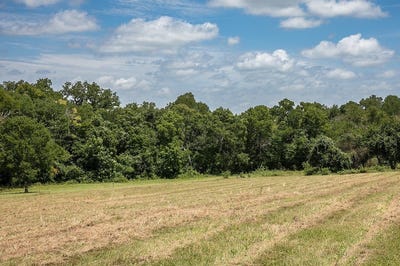 /international/us/tbd-stern-road-chappell-hill-tx-110101025409/