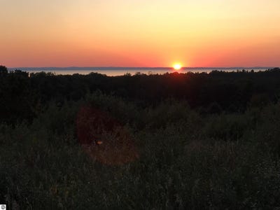 /international/us/tbd-farrell-road-central-lake-mi-110106259898/