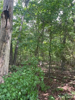 /international/us/monticello-road-albemarle-nc-110101100079/?lang=zh-tw