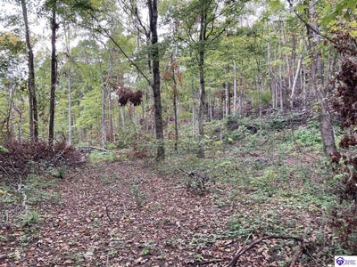 /international/us/1633-boone-hollow-road-battletown-ky-110079848375/
