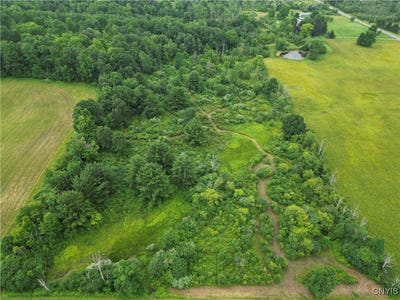 /international/us/county-road-114-wayne-ny-110100727712/