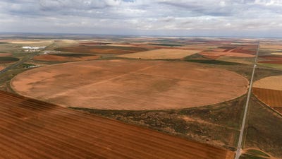 /international/us/sec-145-us-hwy-385-seagraves-tx-110100585425/