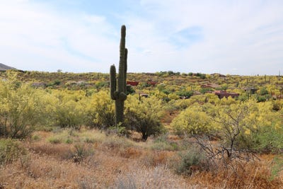 /international/us/42652-n-22nd-street-new-river-az-110100089887/?lang=en