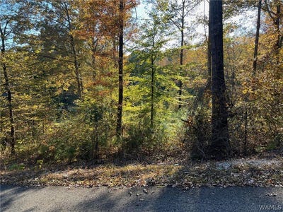 /international/us/allison-drive-lot-8-mccalla-al-110107927621/