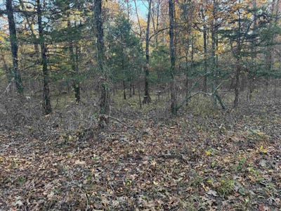 /international/us/9999-easement-road-cove-ar-110103377832/