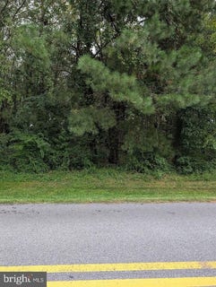 /international/us/falling-pt-road-lot-5-dagsboro-de-110120015600/