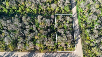 /international/us/1968-forest-park-street-bunnell-fl-110095958076/?lang=zh-cn